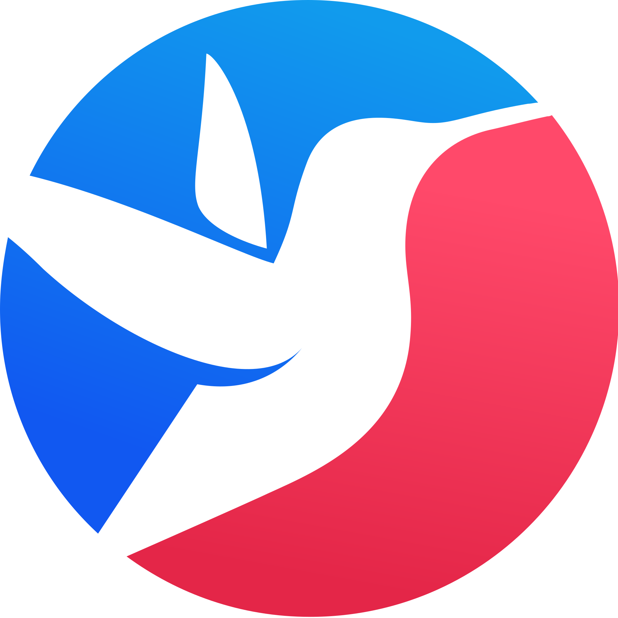 bsw logo